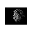 Wild Life Lion Head Canvas- Frame Optional- Model #4837234 For Cheap