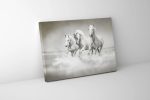 Wild Life Black & White Stallions Canvas- Frame Optional- Model #4828 For Sale