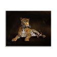 Wild Life Leopard Canvas- Frame Optional- Model #4836047 on Sale