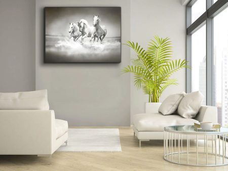 Wild Life Black & White Stallions Canvas- Frame Optional- Model #4828 For Sale