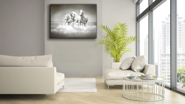 Wild Life Black & White Stallions Canvas- Frame Optional- Model #4828 For Sale