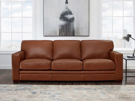 Dillon - Leather Sofa Sale