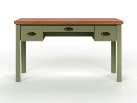 Vineyard - Writing Desk - Sage Green And Fruitwood Supply