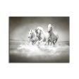 Wild Life Black & White Stallions Canvas- Frame Optional- Model #4828 For Sale