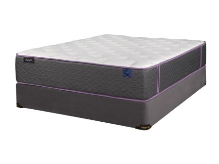 13  Tight Top Pocket Coil Mattress - Medium Firm- Model Megniflix Discount