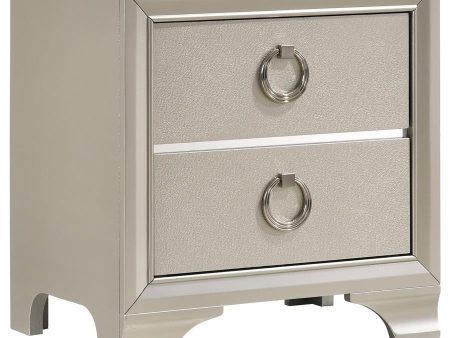 Salford - 2-Drawer Nightstand - Metallic Sterling Fashion