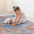 2  x 3  Machine Washable Area Rugs, Low-Pile, Non-Slip, Non-Shedding, Foldable, Kid & Pet Friendly - Multi For Sale