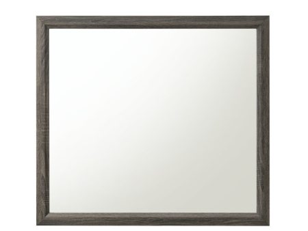 Valdemar - Weathered Mirror - Gray For Discount