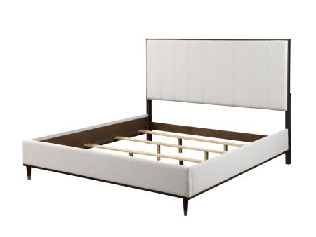 Carena - Comfort Bed Sale