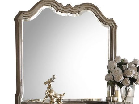 Chelmsford - Mirror - Taupe Supply